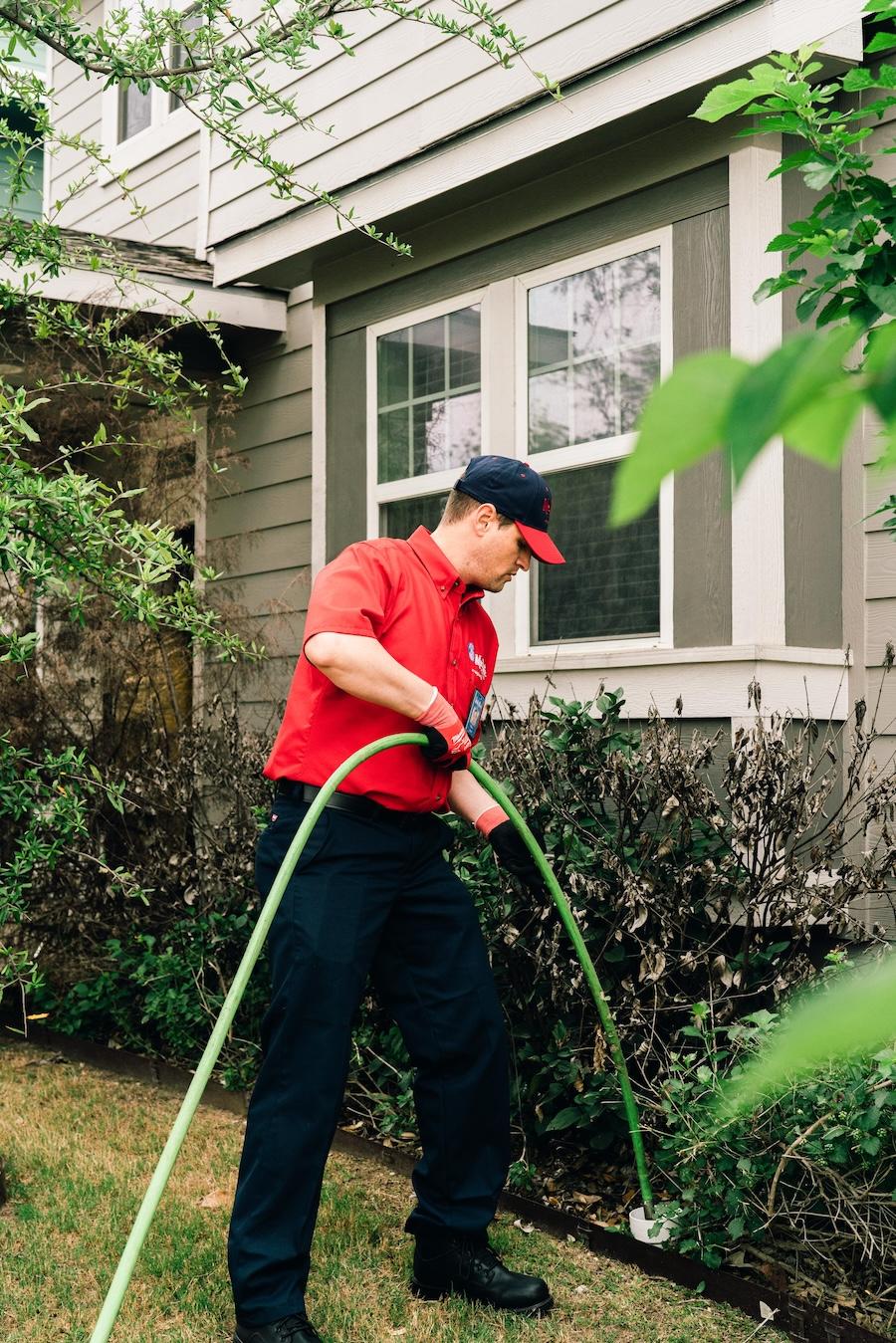 How Tree Roots Can Damage Your Sewer Line